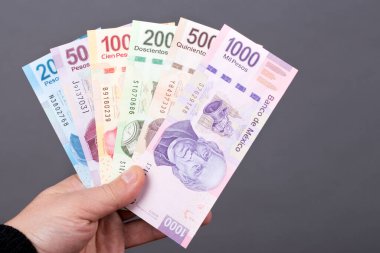 Mexican money - Pesos in the hand on a gray background