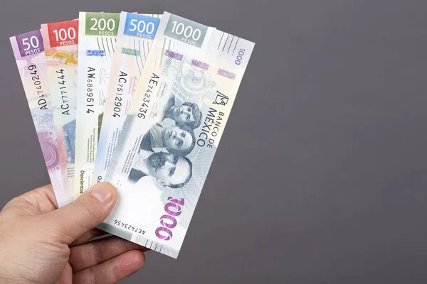 Mexican money - Pesos in the hand on a gray background