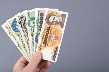 Old Polish money - Zloty in the hand on a gray background