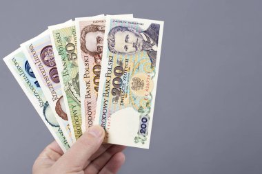 Old Polish money - Zloty in the hand on a gray background