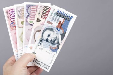 Old Argentine money -  australes  in the hand on a gray background