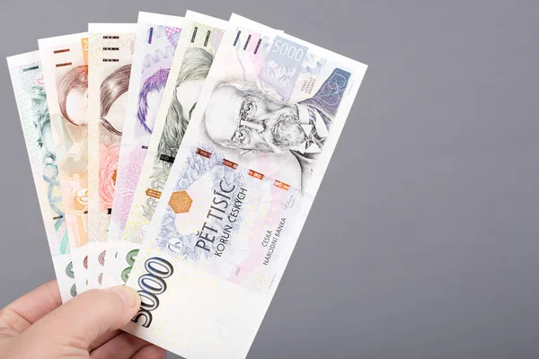 Чеські Гроші Корони Руках Сірому Фоні — стокове фото