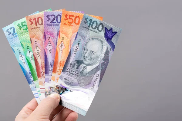 巴巴多斯货币 灰色背景的新系列钞票 — 图库照片