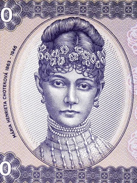 マリア ヘンリエッタ ショテコヴァハンガリーのお金からの肖像画 — ストック写真