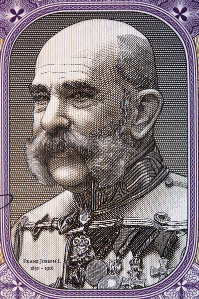 Franz Joseph Von Österreich Ein Porträt Aus Österreichischem Geld — Stockfoto