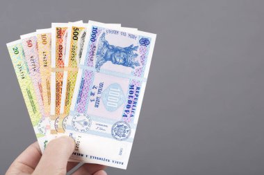 Moldova parası - gri bir arka planda elde leu