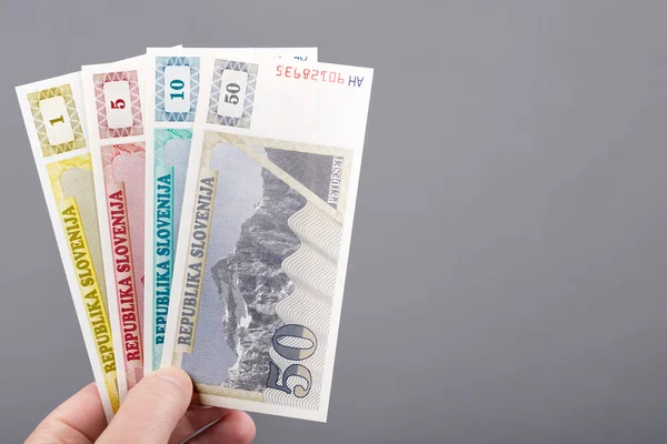 Παλιά Σλοβενικά Χρήματα Tolar Στο Χέρι Ένα Γκρι Φόντο — Φωτογραφία Αρχείου