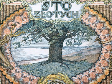 Deniz kıyısındaki bir ağacın resmi eski Polonya parasından - Zloty