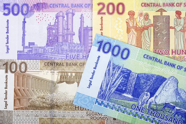 Sudan Parası Pound Geçmişi Ters Yüz — Stok fotoğraf