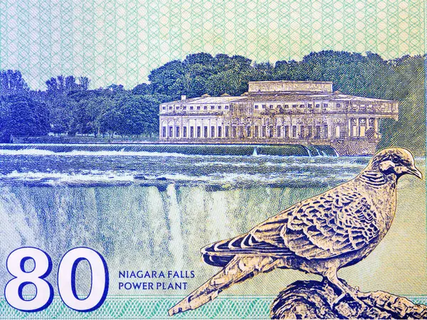 Niagarafälle Kraftwerk Und Vogel Aus Geld — Stockfoto