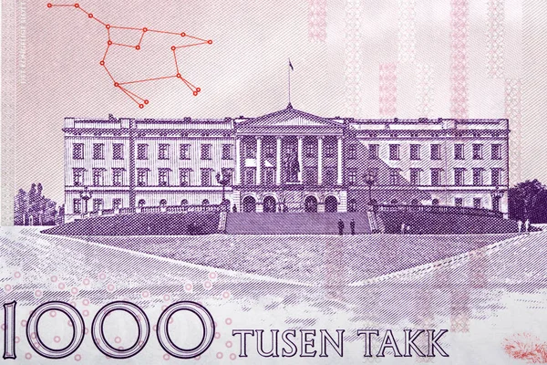 Palácio Real Oslo Partir Dinheiro Norueguês — Fotografia de Stock