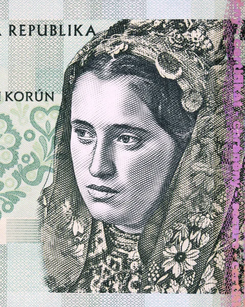 Kostümlü Bir Kız Slovak Parasından Bir Portre — Stok fotoğraf