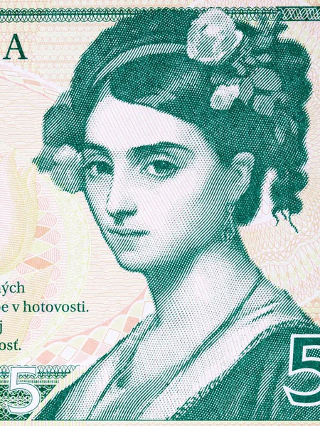 슬로바키아 화폐에 나오는 소녀의 — 스톡 사진