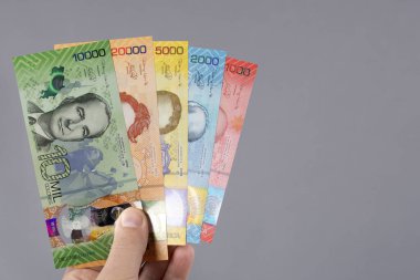 Kosta Rika parası - Gri arka planda Colones 'un eli