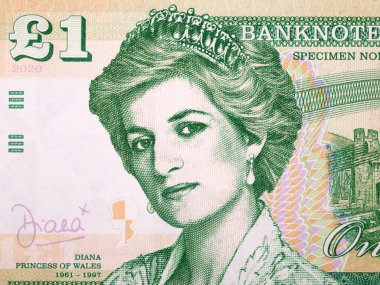 Prenses Diana paradan bir portre - pound