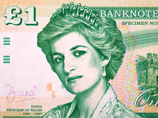 stock image Princess Diana a portrait from money - pounds