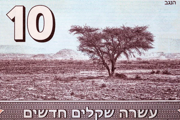 Negev Dezert Izraelských Peněz Šekely — Stock fotografie