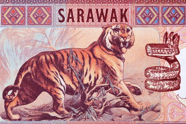 Walking Tiger Sarawak Money Dollars — Stock Photo, Image