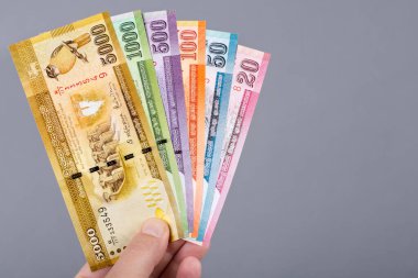 Sri Lanka parası - gri arka planda elde rupi