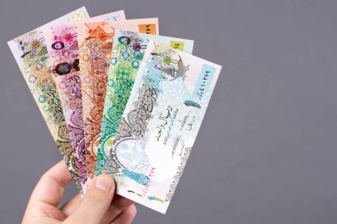 Katar parası - gri bir arka planda elde riyal