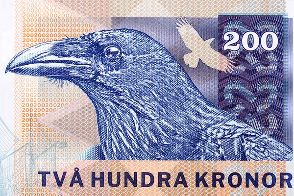 Portrét Havrana Peněz Koruna — Stock fotografie