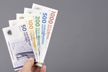 Danimarka parası - taç - gri arka planda elinde