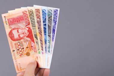 Eski Venezuela parası - Bolivar 'ın elinde gri bir arka plan