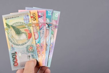 Eski Surinam parası - gri arka planda bir gulden