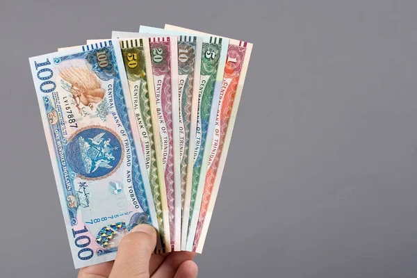 stock image Old Trinidad and Tobago money - dollar in the hand on a gray background