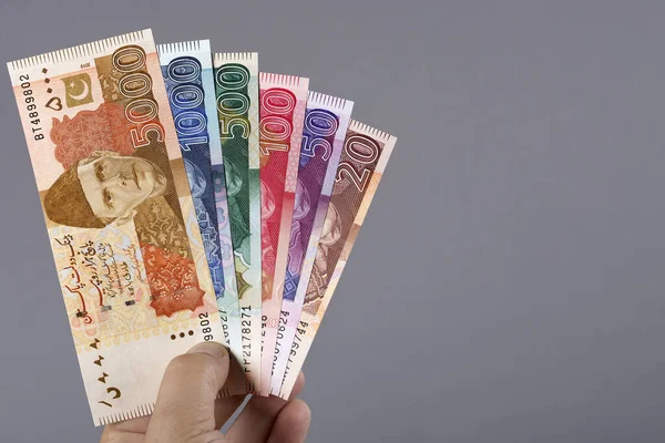 stock image Pakistani money - rupee in the hand on a gray background