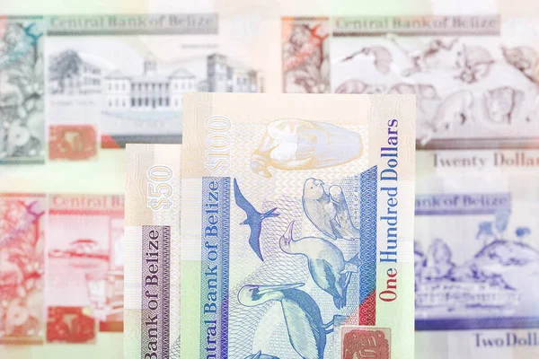 Belize Pengar Dollar Affärsbakgrund Royaltyfria Stockfoton