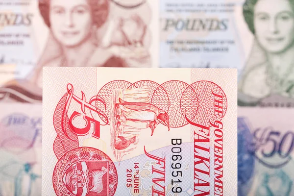 Falkland Islands money - pound a business background