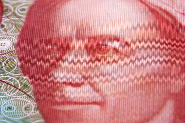Leonhard Euler İsviçre parasından bir portre - Franc
