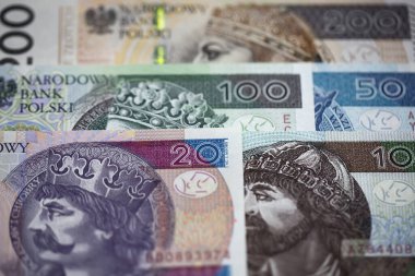 Polonya parası - Zloty iş geçmişi