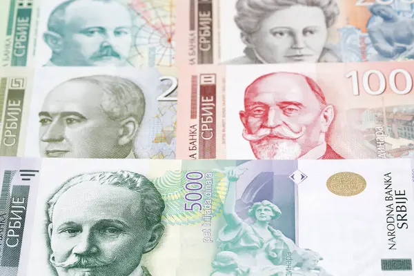 塞尔维亚货币 有商业背景的第纳尔 图库图片