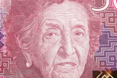 Maria Rostworowski a closeup portrait from Peruvian money - sol clipart