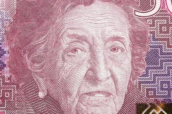 Maria Rostworowski Detailní Portrét Peruánských Peněz Sol Royalty Free Stock Fotografie