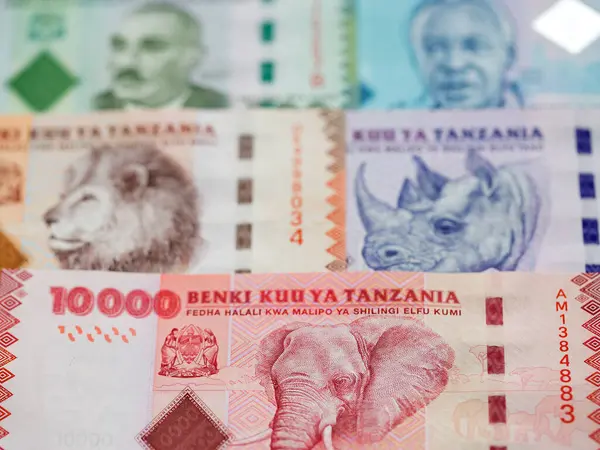Tanzaniaans Geld Shilling Van Een Zakelijke Achtergrond — Stockfoto