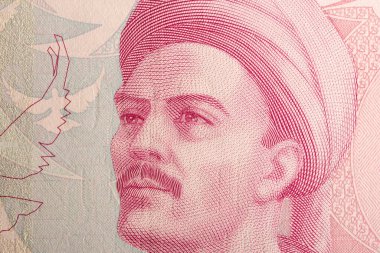 Yunus Emre Türk parasından bir portre - lira