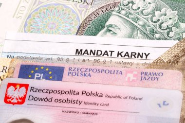 Polonya zlotisi ile hız yaptığı için Polonya ceza makbuzu