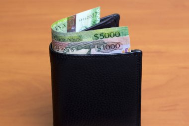 Guyanese parası - siyah cüzdanda bir dolar