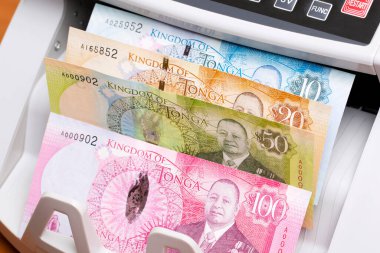 Tonga parası - paanga - sayma makinesinde