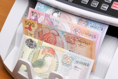 Surinam parası - sayma makinesinde dolar