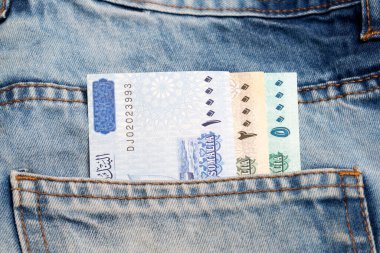 Somali parası - Kot pantolonun cebinde bir şilin