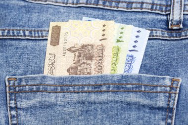 Somali parası - Kot pantolonun cebinde bir şilin