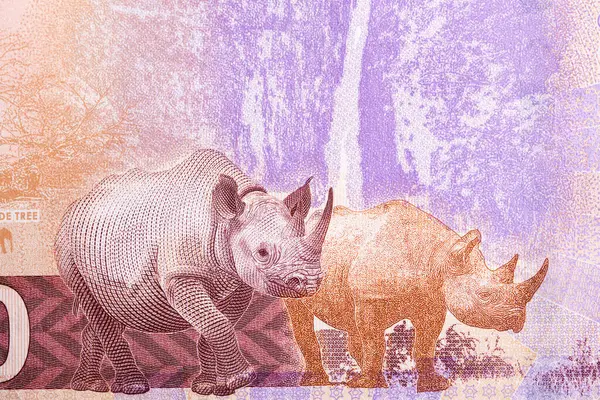 Zambiya parasından iki ayakta gergedan - 200 kwacha