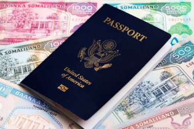 Somaliland parasıyla Amerikan pasaportu.
