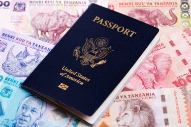 Tanzanya parasıyla Amerikan pasaportu - Şilin