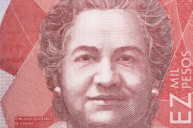 Virginia Gutierrez de Pineda Kolombiya parasından yakın plan bir portre - peso