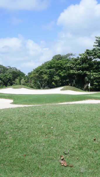 Vertical Video Featuring Bunker Greens Golf Course Tropics Sunny Day — Stock video